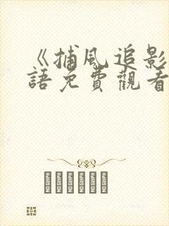 《捕风追影》粤语免费观看高清在线