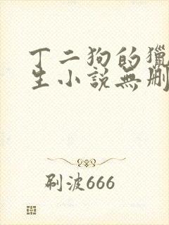 丁二狗的猎艳人生小说无删减小说