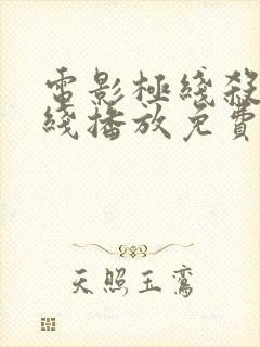 电影极线杀手在线播放免费