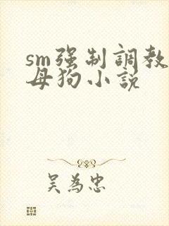 sm强制调教小母狗小说