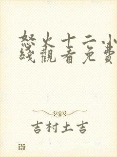 怒火十二小时在线观看免费完整版