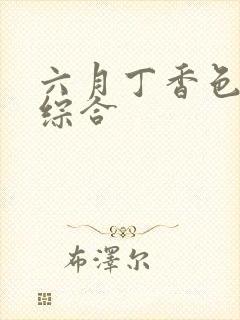 六月丁香色婷婷综合