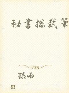 秘书总裁笔趣阁