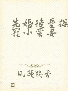 先婚后爱总裁娇宠小蛮妻