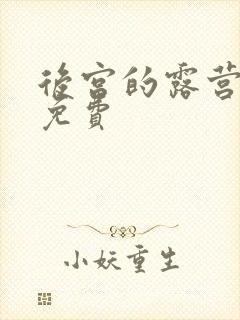 后宫的露营动漫免费