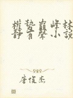 权势巅峰林凡宁静有声小说