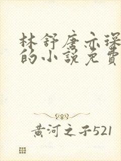 林舒唐亦琛温晴的小说免费阅读