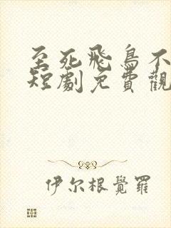 至死飞鸟不相逢短剧免费观看