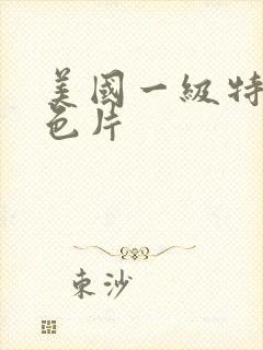 美国一级特a黄色片