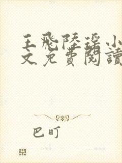 王飞陆瑶小说全文免费阅读封面