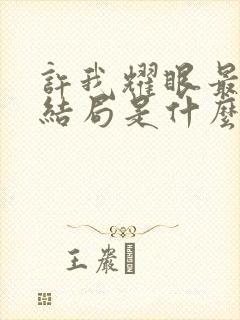 许我耀眼最后大结局是什么