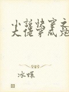 小说快穿之满级大佬穿成炮灰后封面