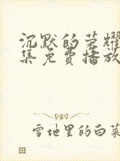 沉默的荣耀40集免费播放在线观看