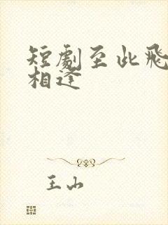 短剧至此飞鸟不相逢