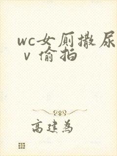 wc女厕撒尿七ⅴ偷拍