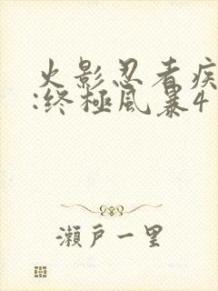 火影忍者疾风传:终极风暴4