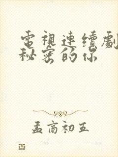 电视连续剧没有秘密的你