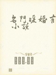 名门暖婚有点甜 小说封面