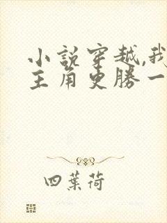 小说穿越,我比主角更胜一筹免费阅读全文