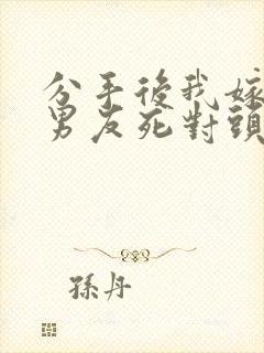 分手后我嫁给前男友死对头宋颜的小说