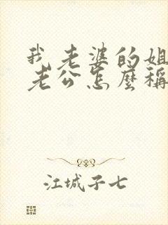 我老婆的姐姐的老公怎么称呼