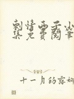 刺情西子小说全集免费阅笔趣阁封面