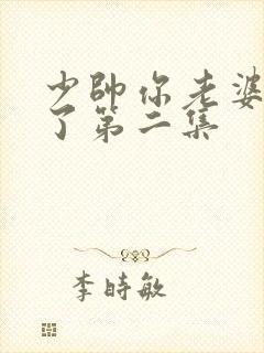 少帅你老婆又跑了第二集