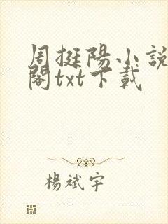 周挺阳小说笔趣阁txt下载