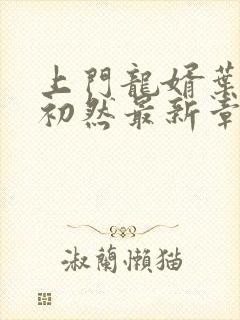 上门龙婿叶辰萧初然最新章节列表