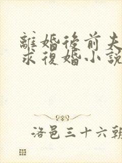 离婚后前夫哭着求复婚小说阅读全部