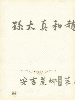 孙太真和赵匡胤