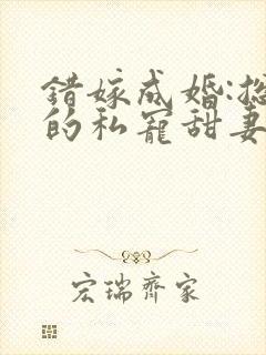 错嫁成婚:总裁的私宠甜妻