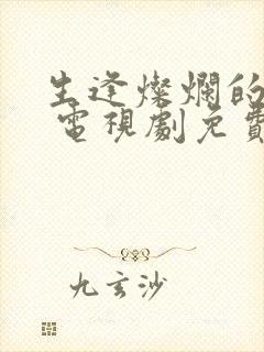 生逢灿烂的日子 电视剧免费观看