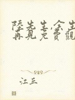 陆先生,余生不再见免费观看