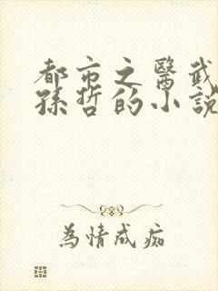 都市之医武风流孙哲的小说