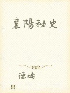 襄阳秘史