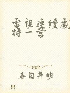 电视连续剧我的特一营