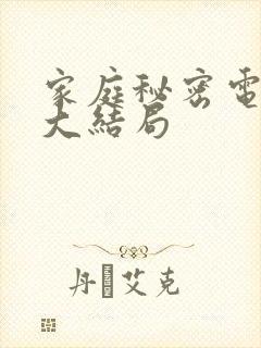 家庭秘密电视剧大结局