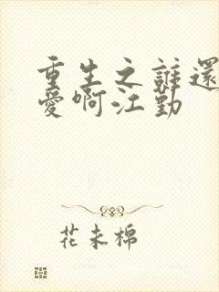 重生之谁还谈恋爱啊江勤封面