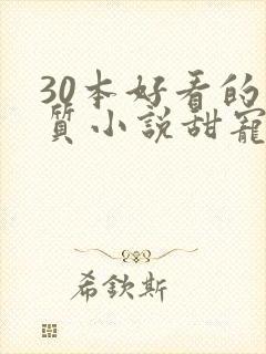 30本好看的肉质小说甜宠文
