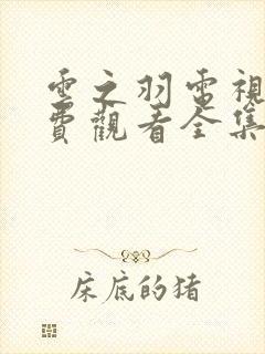 云之羽电视剧免费观看全集完整版