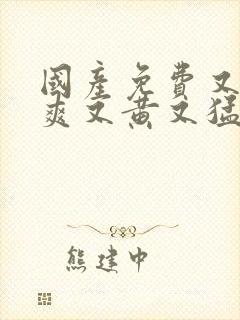 国产免费又色又爽又黄又猛小说封面