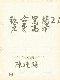 致命黑兰2正版免费高清