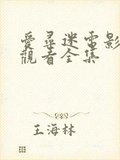 爱寻迷电影免费观看全集