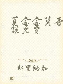 夏念念莫晋北小说免费