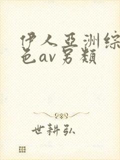 伊人亚洲综合网色av另类