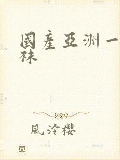 国产亚洲一区丝袜