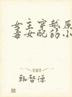 女主穿越原耽恶毒女配的小说封面