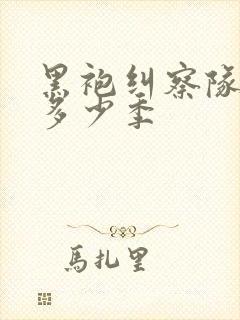 黑袍纠察队总共多少季封面