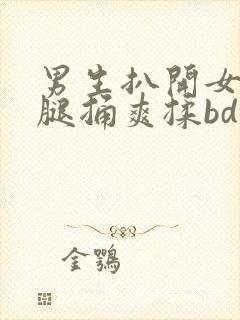 男生扒开女生的腿捅爽揉bd视频